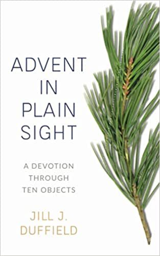 Advent.PlainSight.book.jpg